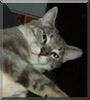 Taffy