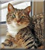 Maggie