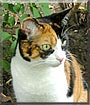 Zoe