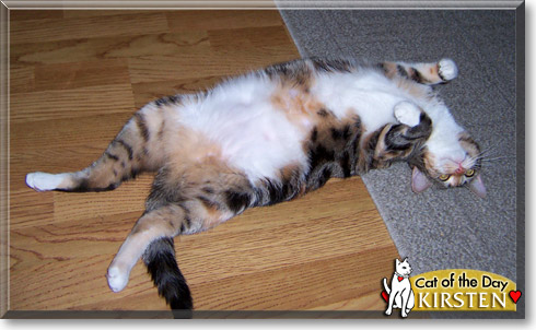Kirsten, the Cat of the Day