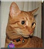 Sebastian