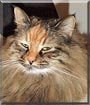 Josie