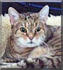 Minka