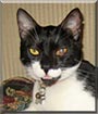 Tychee