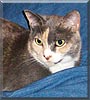 Zoe