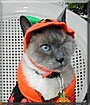 Oliver