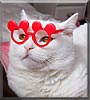 Snowbell