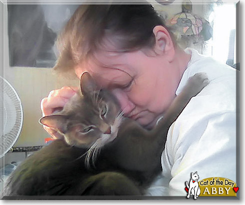 Abby, the Cat of the Day Abby, the Cat of the Day