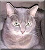 Abby