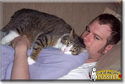 Pussifer, the Cat of the Day