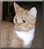 Oliver