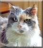 Flossie