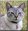 Max