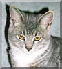 Puddy