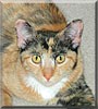 Zoë