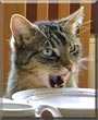 R&uuml;be