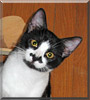 Fritz