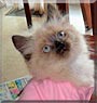 Abby