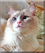 Mil&ugrave;