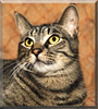Oscar