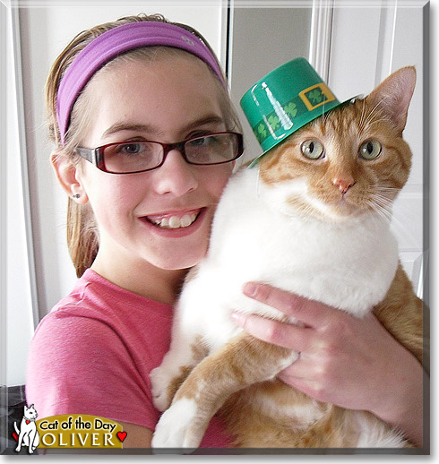 Oliver, the Cat of the Day