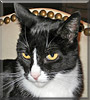 Millicent
