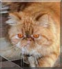 Vincent