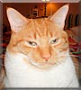 Oliver