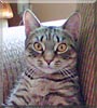 Mitzie