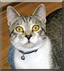 Sox