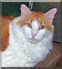 Ragamuffin