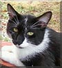 Oscar