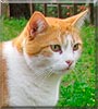 Ralphie