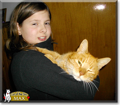 Max, the Cat of the Day